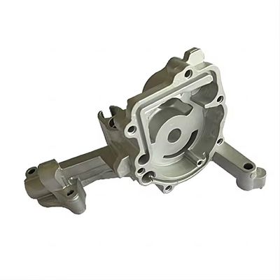 Các bộ phận đúc chính xác Sắt thép không gỉ Thảm nhựa nhôm